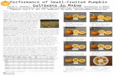Performance of Small-Fruited Pumpkin Cultivars in Maine David T. Handley*, Mark G. Hutton and Gregory J. Koller, University of Maine Cooperative Extension.