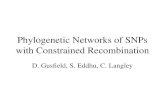 Phylogenetic Networks of SNPs with Constrained Recombination D. Gusfield, S. Eddhu, C. Langley.