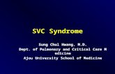 SVC Syndrome Sung Chul Hwang, M.D. Dept. of Pulmonary and Critical Care Medicine Ajou University School of Medicine.
