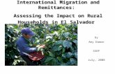 International Migration and Remittances: Assessing the Impact on Rural Households in El Salvador by Amy Damon SSEF July, 2008.