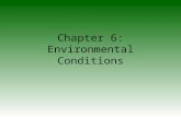 Chapter 6: Environmental Conditions. Environmental stress can adversely impact an athlete’s performance and pose serious health threats Areas of concern.