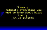 Summary (almost) everything you need to know about micro theory in 30 minutes.