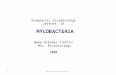 Diagnostic microbiology lecture: 14 MYCOBACTERIA Abed ElKader Elottol MSc. Microbiology 2010 1abed elkader elottol.
