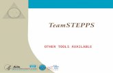 OTHER TOOLS AVAILABLE. T EAM STEPPS 05.2 Mod 1 05.2 Page 2Mod 1 06.2 Page 2 TeamSTEPPS 101 TeamSTEPPS System TeamSTEPPS is not just a single course. It.