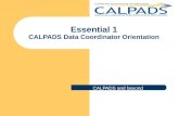 Essential 1 CALPADS Data Coordinator Orientation CALPADS and beyond.