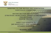 PRESENTATION TITLE Presented by: Name Surname Directorate Date BRIEFING TO THE WATER AND SANITATION PORTFOLIO COMMITTEE WATER SECTOR INSTITUTIONS STRATEGIC.