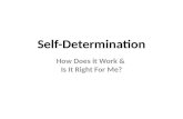 Self-Determination How Does it Work & Is It Right For Me?