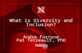 What is Diversity and Inclusion? Andre Fortune Pat Tetreault, PhD.