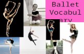 Ballet Vocabulary. Alignment Proper body placement; posture with neck over shoulder girdle, shoulders over hips, hips over knees, knees over feet.