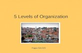 5 Levels of Organization Pages 524-525. 5 Levels of Organization Cells Tissues Organs Organ Systems Organism.