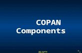 SGI Confidential 2- 1 COPAN Components. SGI Confidential 2- 2 COPAN 400 Major Components The COPAN 400 platform typically contains the following subcomponents: