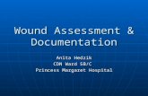 Wound Assessment & Documentation Anita Hedzik CDN Ward 5B/C Princess Margaret Hospital.
