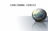 CARCINOMA CERVIX. 1,25,000 new patients in India every year Incidence varies from 15 – 48 / 100,000 women Carcinoma cervix is preventable –Health education.