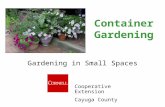Container Gardening Gardening in Small Spaces Cooperative Extension Cayuga County.