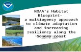 NOAA’s Habitat Blueprint- a multiagency approach to climate adaptation and increasing resiliency along the Sonoma coast Sonoma Adaptation Forum April 8,
