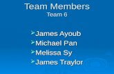 Team Members Team 6  James Ayoub  Michael Pan  Melissa Sy  James Traylor.