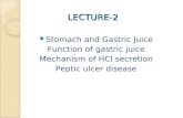 LECTURE-2 LECTURE-2 Stomach and Gastric Juice Function of gastric juice Mechanism of HCl secretion Peptic ulcer disease.