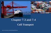 Chapter 7.3 and 7.4 Cell Transport http://www.topnews.in/files/port-shipping.jpg http://www.tsicontainers.com/images/Shipping%20Port.jpg.