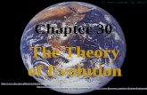 SACCONE IS THE COOLEST Chapter 30 The Theory of Evolution  .
