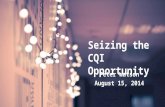 Seizing the CQI Opportunity Peter Watson August 15, 2014.