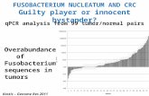 FUSOBACTERIUM NUCLEATUM AND CRC Guilty player or innocent bystander? Overabundance of Fusobacterium sequences in tumors Kostic – Genome Res 2011 qPCR analysis.