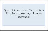 Quantitative Proteins Estimation by lowry method.