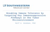 Breaking Immune Tolerance by Targeting Key Immunosuppressive Pathways in the Tumor Microenvironment Rolf A. Brekken, PhD.