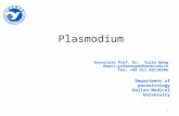 Plasmodium Associate Prof. Dr. Yulin Wang Email:yulinwang@dlmedu.edu.cn Tel: +86 411 86110306 Department of parasitology Dalian Medical University 1.