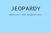 JEOPARDY Habitats and Adaptations. Desert Adaptations Grassland Adaptations Forest Adaptations Artic Tundra Adaptations Ocean Adaptations 100 200 300.