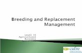 Level II Agricultural Business Operations.  Understand the reproduction cycle  Assess herd reproductive efficiency  Understand the decisions involved.