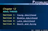 HOLT, RINEHART AND WINSTON P SYCHOLOGY PRINCIPLES IN PRACTICE 1 Chapter 12 ADULTHOOD Section 1: Young AdulthoodYoung Adulthood Section 2: Middle AdulthoodMiddle.