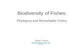 Biodiversity of Fishes Phylogeny and Remarkable Fishes Rainer Froese rfroese@geomar.de (13.11.14)