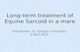 Long-term treatment of Equine Sarcoid in a mare Elsa Kanner, St. George’s University 9 April 2014.