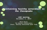 Maintaining healthy watersheds in the Chesapeake LGAC meeting December 4, 2014 Mark Bryer The Nature Conservancy Chair, Healthy Watershed Goal Team.