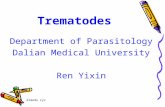 dlmedu ryx Trematodes Department of Parasitology Dalian Medical University Ren Yixin.