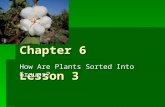 Chapter 6 Lesson 3 Chapter 6 Lesson 3 How Are Plants Sorted Into Groups?