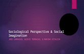 Sociological Perspective & Social Imagination JOSE CARRASCO, ALEXIS TERRAZAS, & MARINA VITALICH.