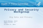 Privacy and Security Workgroup Big Data and Privacy October 27, 2014 Deven McGraw, chair Stan Crosley, co-chair.