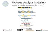 RNA-seq Analysis in Galaxy Pawel Michalak (pawel@vbi.vt.edu)