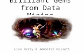 Brilliant Gems from Data Mining Lisa Berry & Jennifer Dossett.