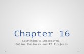 Chapter 16 Launching A Successful Online Business and EC Projects.