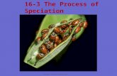 Copyright Pearson Prentice Hall 16-3 The Process of Speciation.