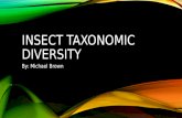 INSECT TAXONOMIC DIVERSITY By: Michael Brown INSECT ORDERS Ephemeroptera Odonata Blattaria Isoptera Dermatptera Orthoptera Phasmida Hemiptera Coleoptera.