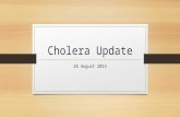 Cholera Update 26 August 2014. Burden/Case load As at 26 th August 2014 cumulatively 9,170 cases including 85 deaths (Case fatality rate of 0.9%) From.