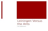 Leiningen Versus the Ants Carl Stephenson. “Leiningen Versus the Ants”  Carl Stephenson  1938  Short Story  German  Only really “famous” story that.