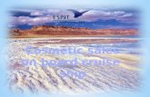 ESPIT Company specializes in selling products sea on board cruise ship. We are selling cosmetics from the well known Dead Sea in Israel. The company.