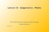 Lecture 19 – Epigenomics – Plants Lecture 19 – Epigenomics – Plants BIOL 5190/6190 Cellular & Molecular Singal Transduction Prepared by Bob Locy Last modified.