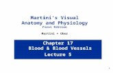 1 Chapter 17 Blood & Blood Vessels Lecture 5 Martini’s Visual Anatomy and Physiology First Edition Martini  Ober.