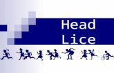 Head Lice. What are Head Lice? Insects that live and reproduce on your head Head lice feed on blood from your scalp Head Lice are a common nuisance, and.