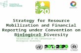 Strategy for Resource Mobilization and Financial Reporting under Convention on Biological Diversity Technical Support for Implementation Division Secretariat.